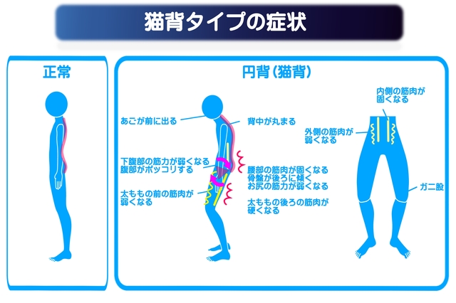 正しい姿勢について2